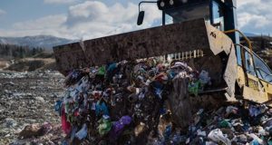 Эксперты подсчитали объемы мусора в Республике Алтай Эксперты подсчитали объемы мусора в Республике Алтай
