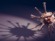 За сутки выявлено 147 случаев заражения коронавирусом. Лидируют Горно-Алтайск и Майма За сутки выявлено 147 случаев заражения коронавирусом. Лидируют Горно-Алтайск и Майма