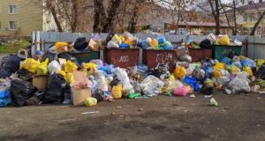 Глава администрации прокомментировала ситуацию с уборкой и вывозом мусора в Горно-Алтайске