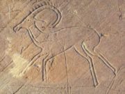 В учебник по истории для пятого класса включат информацию об Алтае
