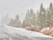 Прохладная погода с осадками в виде мокрого снега ожидается на Алтае