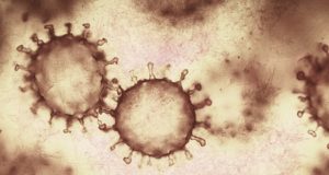 Новый максимум по коронавирусу: 112 новых случаев за сутки