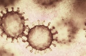 Новый максимум по коронавирусу: 112 новых случаев за сутки Новый максимум по коронавирусу: 112 новых случаев за сутки