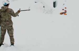 Массовые нарушения режима госграницы в районе Белухи пресечены Массовые нарушения режима госграницы в районе Белухи пресечены