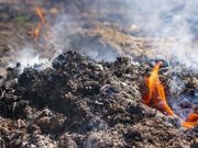 Выжигая сухую траву на участке, житель Чемальского района сжег почти 5 га леса Выжигая сухую траву на участке, житель Чемальского района сжег 4,6 га леса