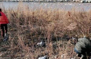 Молодежные трудовые отряды занялись благоустройством города Молодежные трудовые отряды занялись благоустройством города