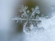 В ближайшие дни в республике ожидается заметное похолодание