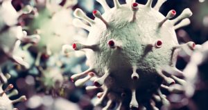 Коронавирус-мутант: в Сибири сформировался новый штамм вируса