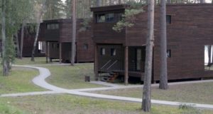 «Алтику» обязали убрать ограждение лесного участка