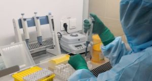 Олег Хорохордин поручил усилить работу кол-центра и ПЦР-лабораторий Олег Хорохордин поручил усилить работу кол-центра и ПЦР-лабораторий
