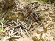 Разыскиваются потомки погибшего под Ленинградом солдата с Алтая