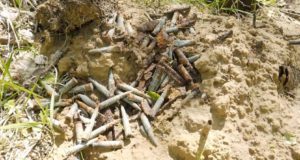 Разыскиваются потомки погибшего под Ленинградом солдата с Алтая