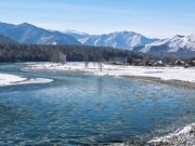 Прогноз погоды: по-прежнему без особых морозов