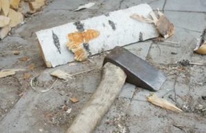 Ссора между пенсионерами завершилась жестоким убийством Ссора между 81-летними пенсионерами завершилась жестоким убийством