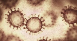 140 случаев заражения коронавирусом выявлено за сутки