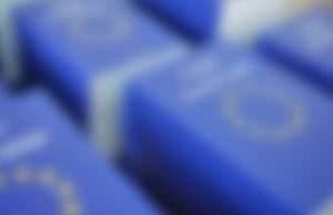 Оформление паспорта и ВНЖ для Америки и Европы
