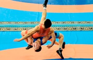 Спортсмены с Алтая стали призерами чемпионата Сибири по борьбе Спортсмены с Алтая стали призерами чемпионата Сибири по борьбе