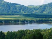 Качество воды в Манжерокском озере значительно улучшилось, утверждает ученый Качество воды в Манжерокском озере значительно улучшилось, утверждает ученый