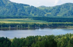 Качество воды в Манжерокском озере значительно улучшилось, утверждает ученый Качество воды в Манжерокском озере значительно улучшилось, утверждает ученый