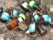 Избитая сожителем любительница спиртного несколько дней спустя умерла от разрыва селезенки Избитая сожителем любительница спиртного несколько дней спустя умерла от разрыва селезенки