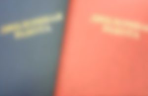 Диплом от Натальи Брильёновой — отличный результат