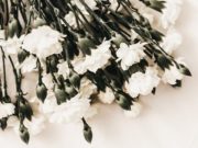 Современные стандарты: теперь и в области столичных ритуальных услуг