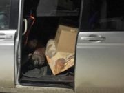 «Затарился» на Новый год: полицейские изъяли у мужчины 80 бутылок безакцизной водки «Затарился» на Новый год: полицейские изъяли у мужчины 80 бутылок безакцизной водки