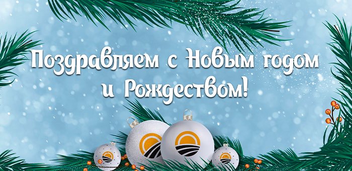 Партия Дела поздравляет с Новым годом!