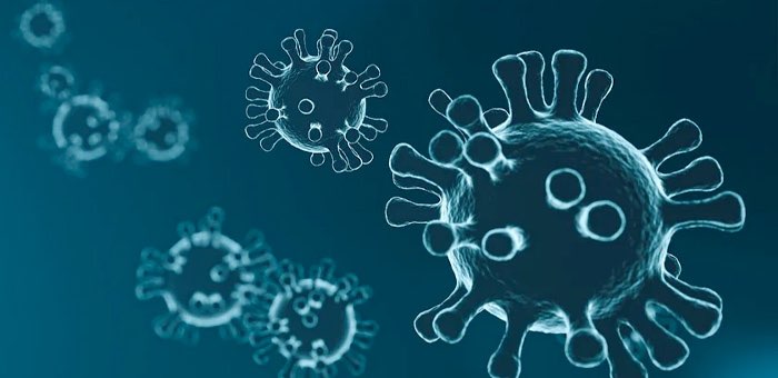За сутки на Алтае выявлено 79 случаев заражения коронавирусом