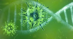 103 случая заражения коронавирусом выявлено за сутки на Алтае
