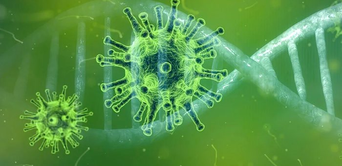 103 случая заражения коронавирусом выявлено за сутки на Алтае
