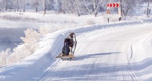 Морозная погода без осадков сохранится на Алтае до конца недели Морозная погода без осадков сохранится в республике до конца недели