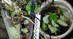 Подростка-убийцу будут судить в Усть-Коксе Подростка-убийцу будут судить в Усть-Коксе