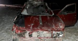 18-летний водитель получил тяжелые травмы из-за выскочившего на дорогу коня 18-летний водитель получил тяжелые травмы из-за выскочившего на дорогу коня