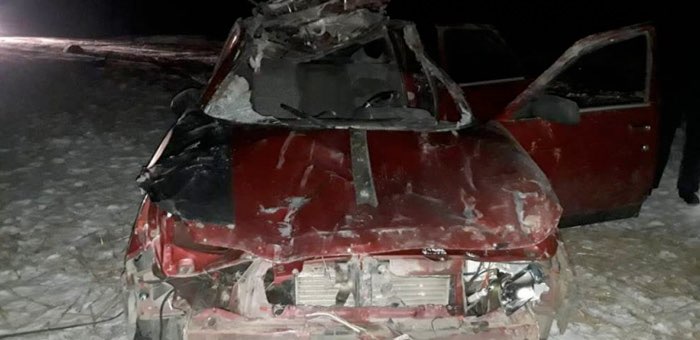 18-летний водитель получил тяжелые травмы из-за выскочившего на дорогу коня