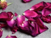 Похоронная служба: решение всех ритуальных проблем в Санкт-Петербурге