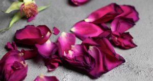 Похоронная служба: решение всех ритуальных проблем в Санкт-Петербурге