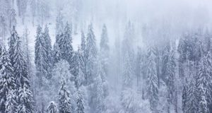 Снегопады и ослабление морозов ожидаются на Алтае