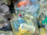 Выкрутасы с переработкой мусора Выкрутасы с переработкой мусора