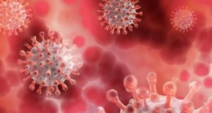 12 случаев заражения коронавирусом выявлено за сутки