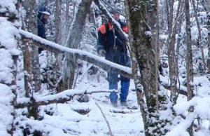 Спасатели нашли подростков, заблудившихся на горе возле Манжерока Спасатели нашли подростков, заблудившихся на горе возле Манжерока