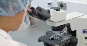 22 случая заражения коронавирусом выявлено за сутки на Алтае