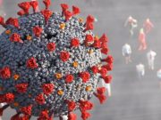 Коронавирус: 34 новых случая за сутки Коронавирус: 34 новых случая за сутки