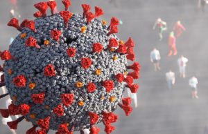 Коронавирус: 34 новых случая за сутки Коронавирус: 34 новых случая за сутки