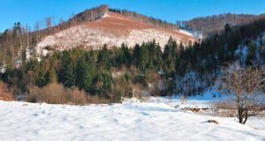 Начало февраля будет теплым, возможны плюсовые температуры Начало февраля будет теплым, возможны плюсовые температуры