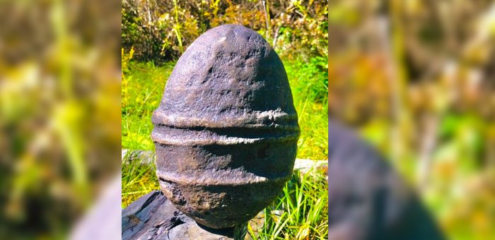 Барнаулец пошутил: необычный камень из Горного Алтая он выдал за окаменелое яйцо динозавра