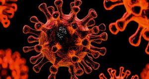 Два человека умерли, 24 – заразились, 25 – выздоровели: сводка по коронавирусу за сутки