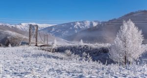 Два морозных дня и теплые выходные прогнозируют синоптики Два морозных дня и теплые выходные прогнозируют синоптики
