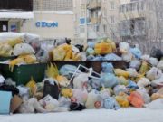 Регионального оператора наказали за переполненные мусорные контейнеры в Горно-Алтайске Регоператора наказали за переполненные мусорные контейнеры в Горно-Алтайске