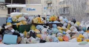 Регоператора наказали за переполненные мусорные контейнеры в Горно-Алтайске